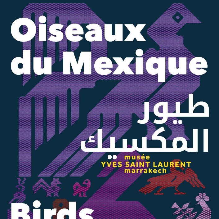 Affiche : Oiseaux du Mexique