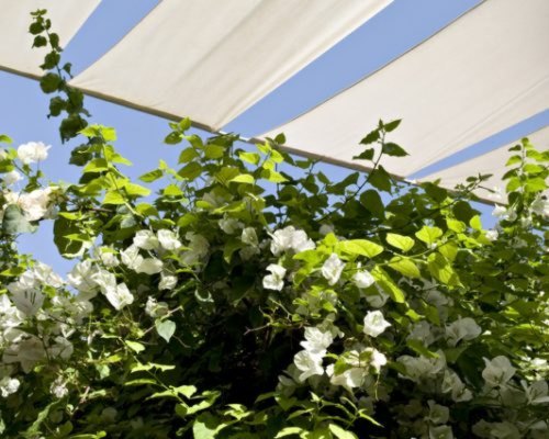 Café Majorelle