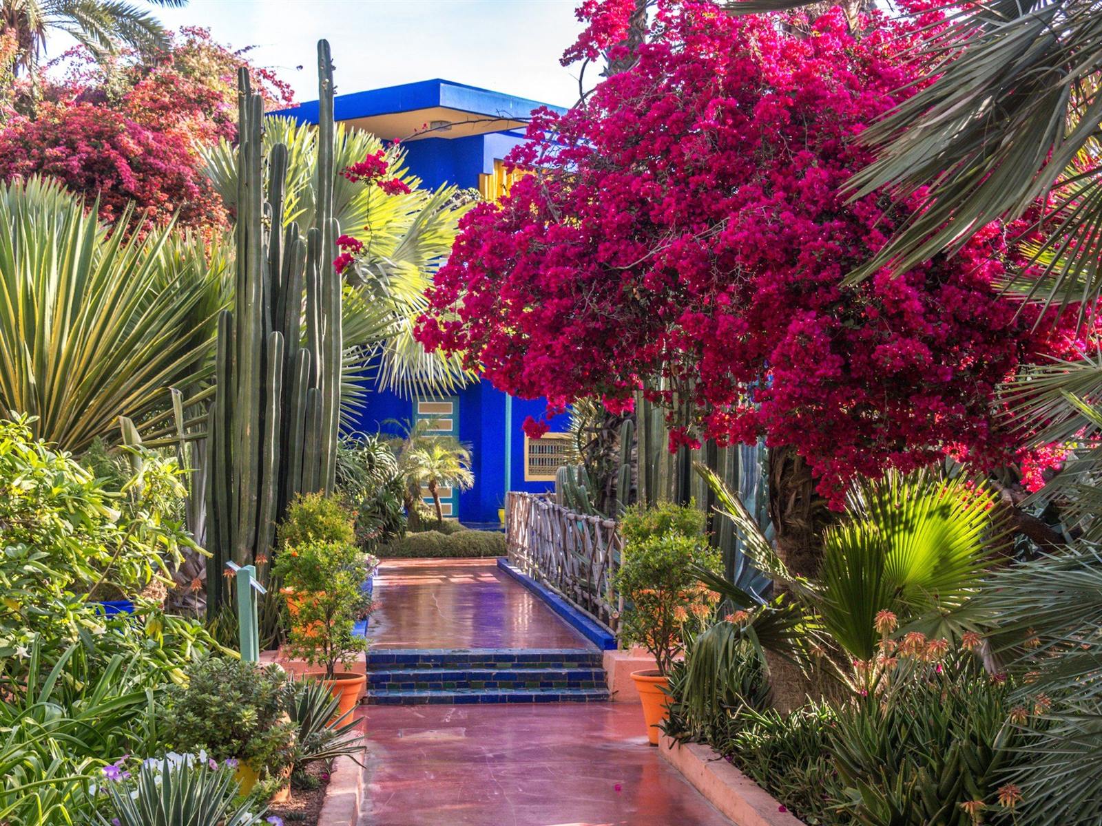 Le Jardin Majorelle
