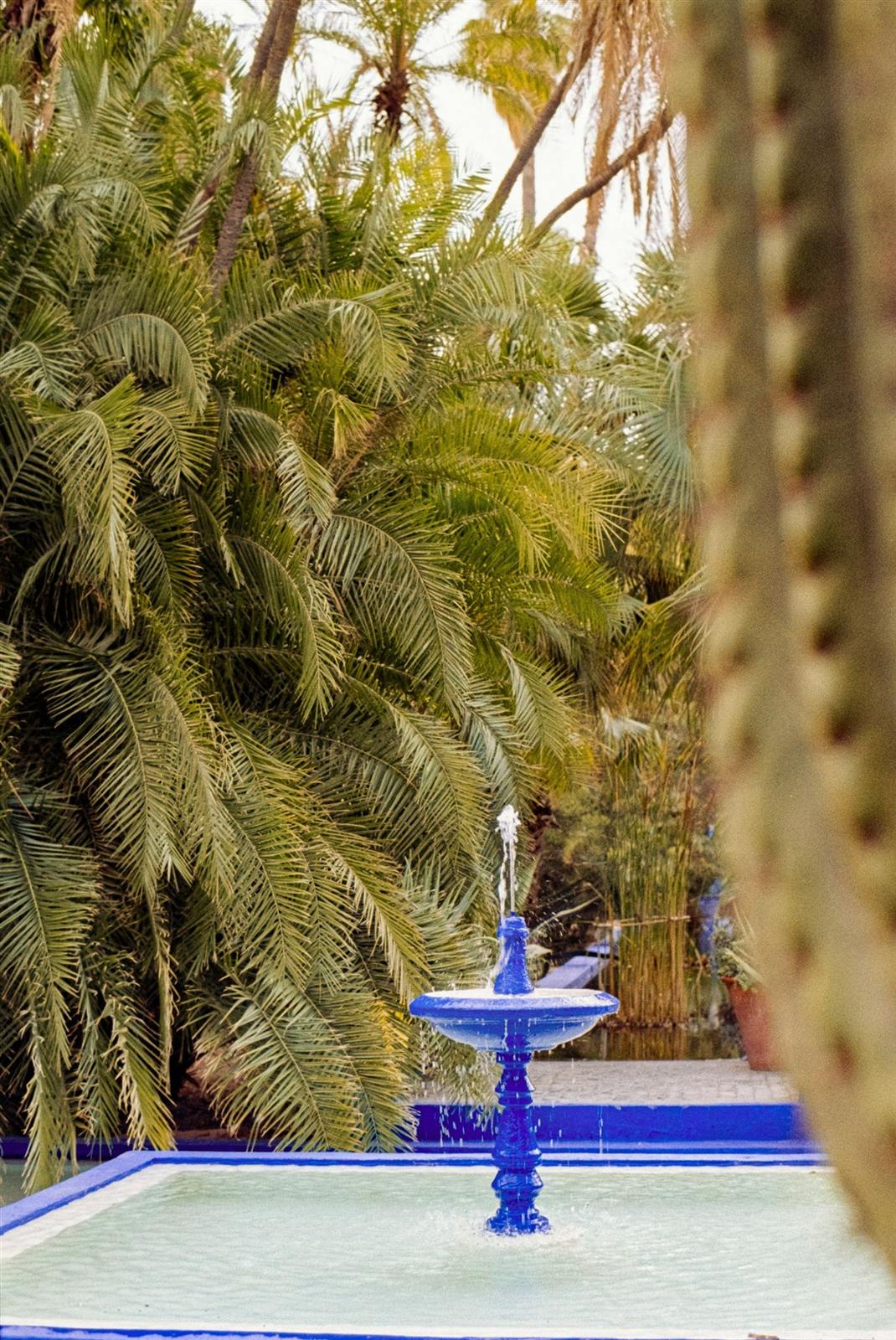 Jardin Majorelle