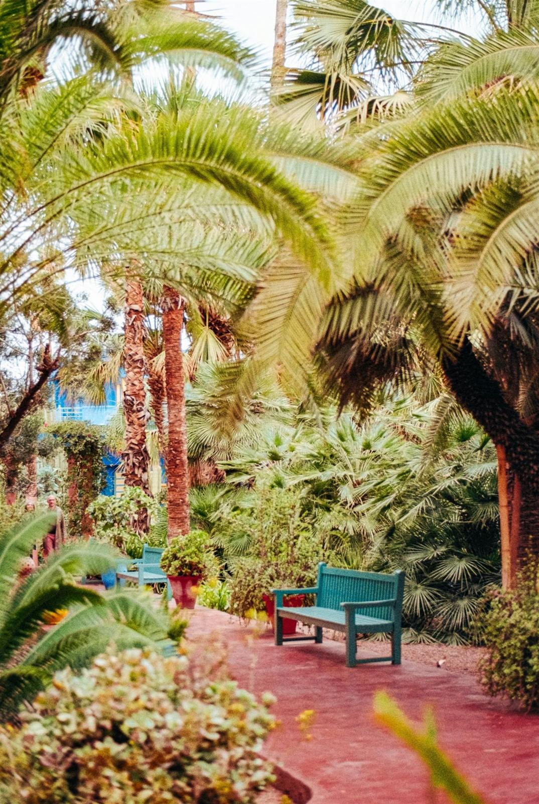Jardin Majorelle