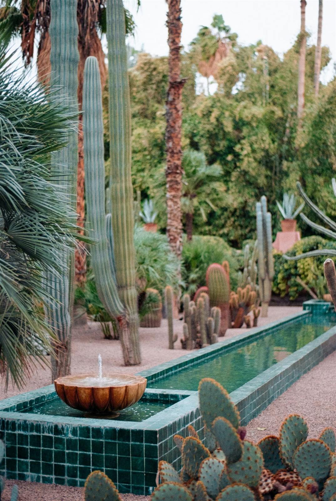 Jardin Majorelle