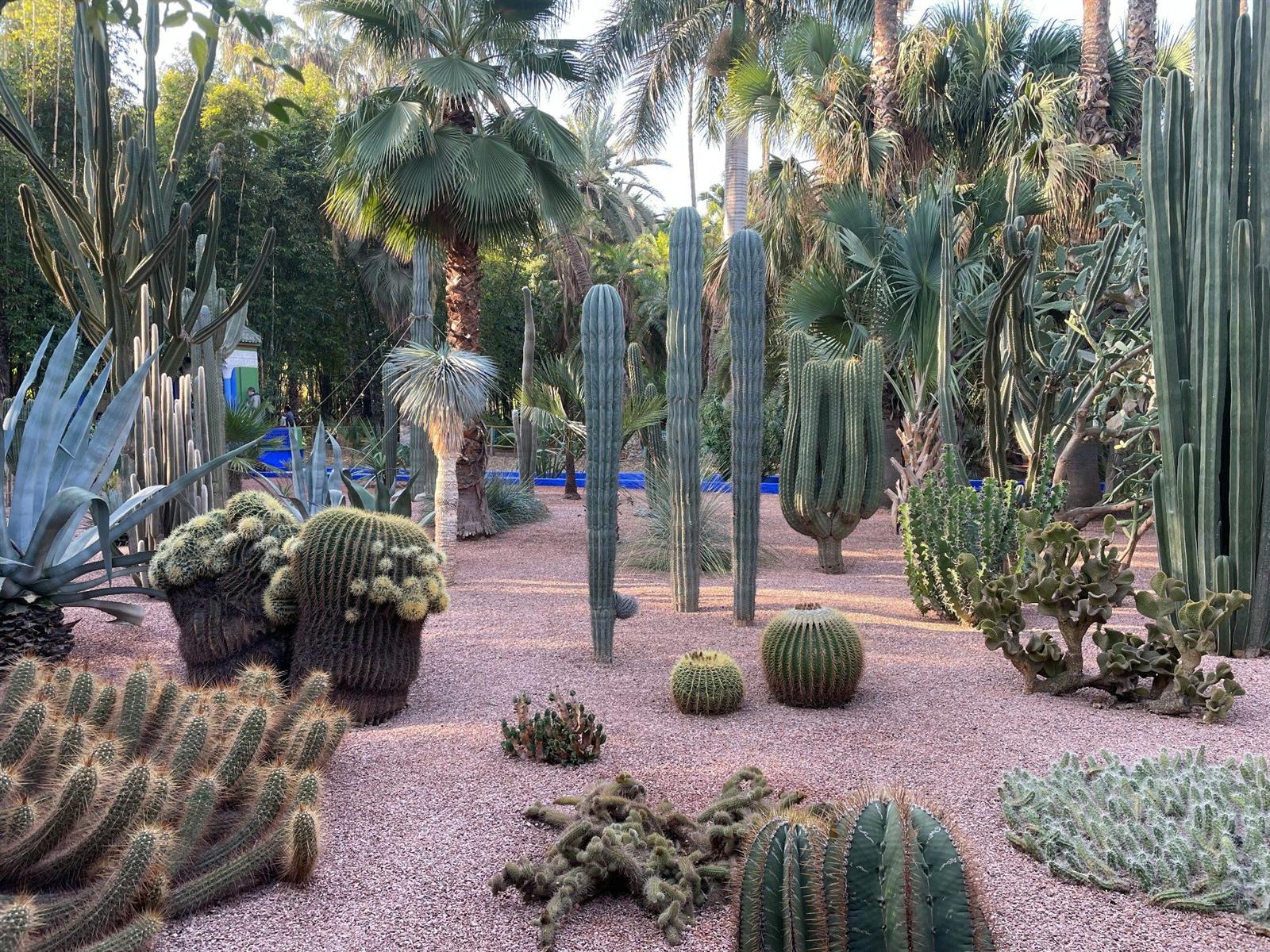Jardin Majorelle