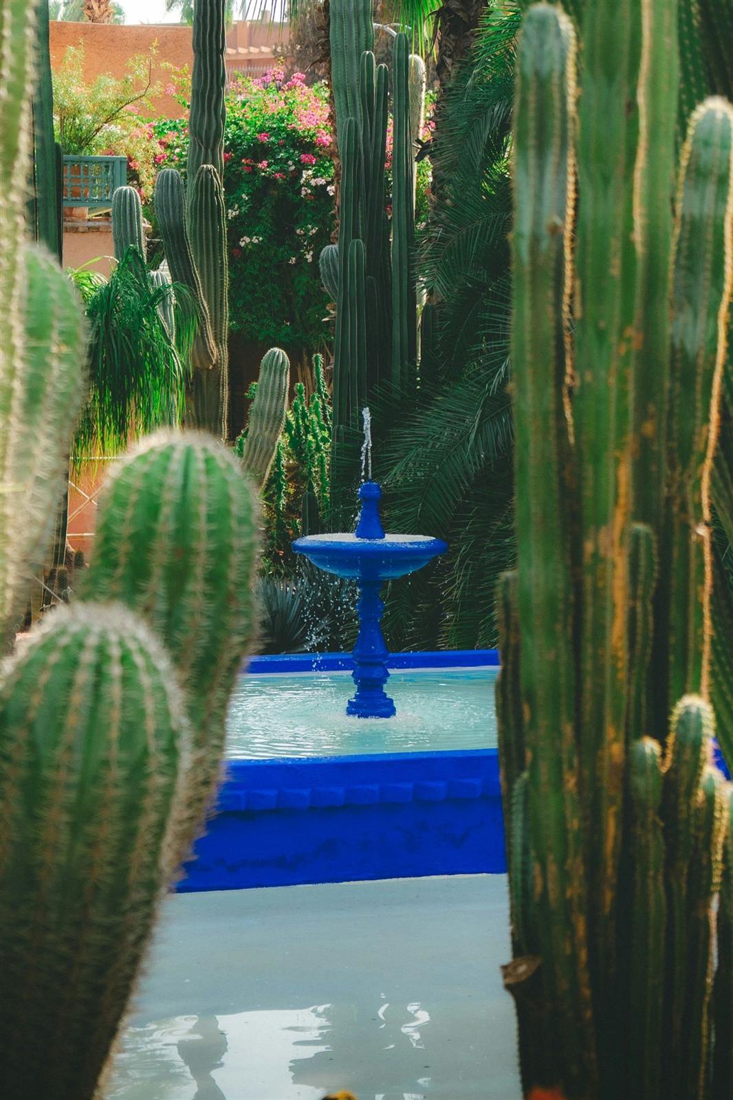 Jardin Majorelle