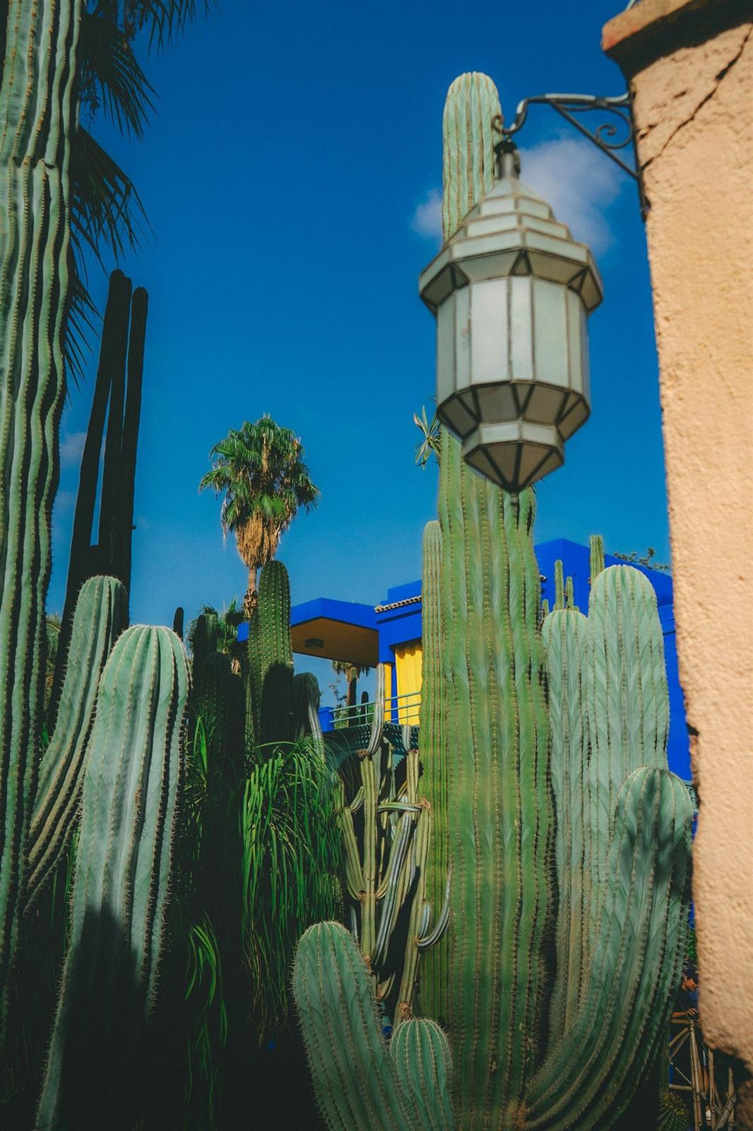 Jardin Majorelle